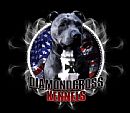  American Staffordshire Terrier DIAMONDCROSS